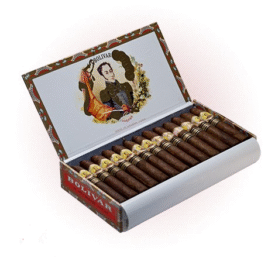 Bolívar Petit Belicosos LE 2009
