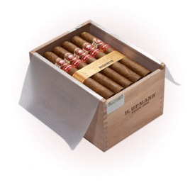 H. Upmann Magnum 50 Cabinet 25