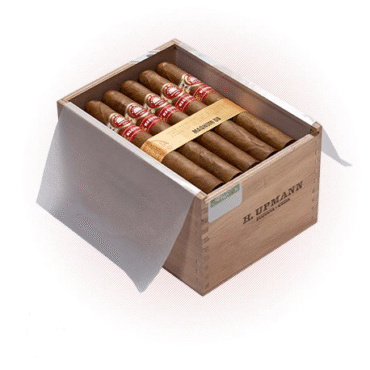 H. Upmann Magnum 50 Cabinet 25